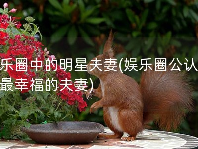 娱乐圈中的明星夫妻(娱乐圈公认十大最幸福的夫妻)