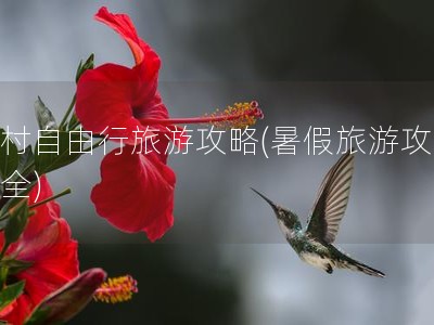 宏村自由行旅游攻略(暑假旅游攻略大全)