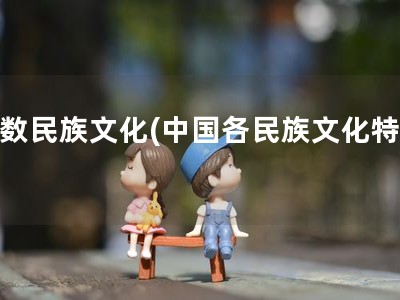 少数民族文化(中国各民族文化特色)