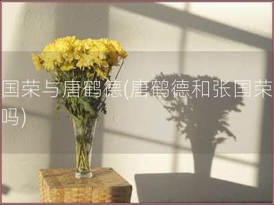 张国荣与唐鹤德(唐鹤德和张国荣做过吗)