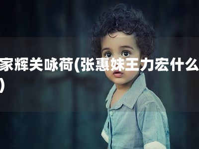 张家辉关咏荷(张惠妹王力宏什么关系)