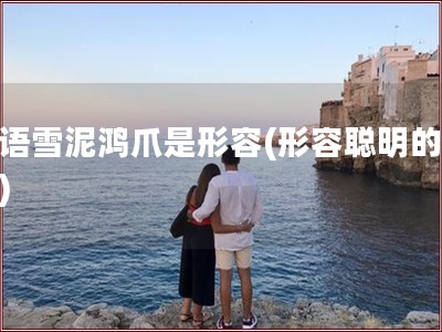 成语雪泥鸿爪是形容(形容聪明的成语)