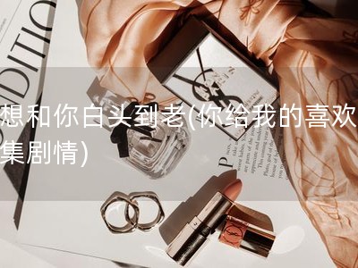 我想和你白头到老(你给我的喜欢的分集剧情)