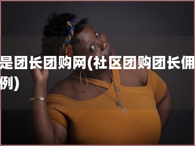 我是团长团购网(社区团购团长佣金比例)