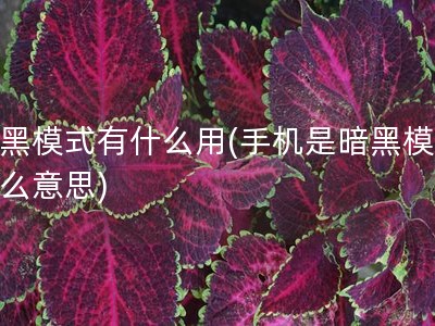 暗黑模式有什么用(手机是暗黑模式什么意思)