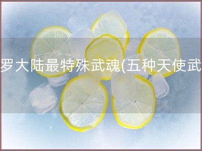 斗罗大陆最特殊武魂(五种天使武魂)
