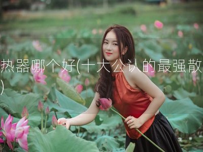 散热器哪个好(十大公认的最强散热器)