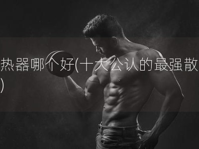 散热器哪个好(十大公认的最强散热器)
