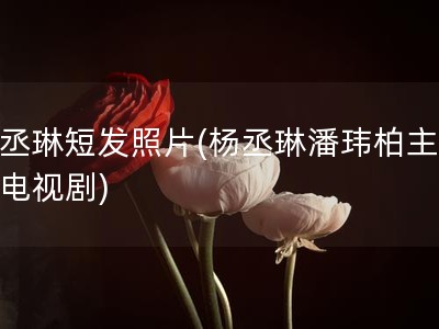杨丞琳短发照片(杨丞琳潘玮柏主演的电视剧)