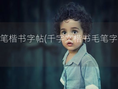 毛笔楷书字帖(千字文楷书毛笔字帖)