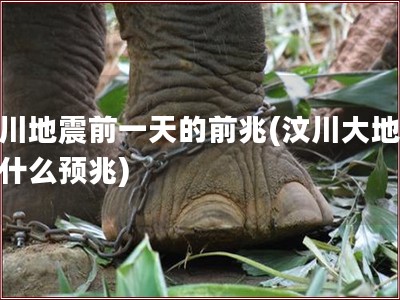 汶川地震前一天的前兆(汶川大地震有什么预兆)