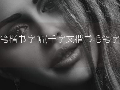 毛笔楷书字帖(千字文楷书毛笔字帖)