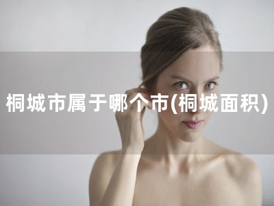 桐城市属于哪个市(桐城面积)