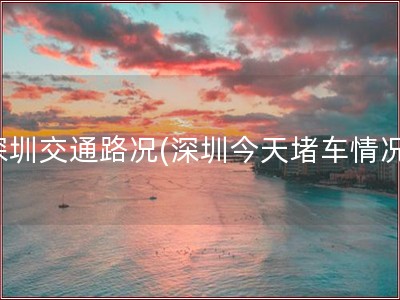 深圳交通路况(深圳今天堵车情况)