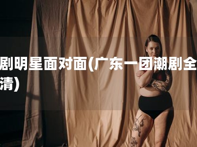 潮剧明星面对面(广东一团潮剧全剧高清)