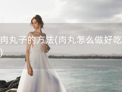 炸肉丸子的方法(肉丸怎么做好吃又嫩)