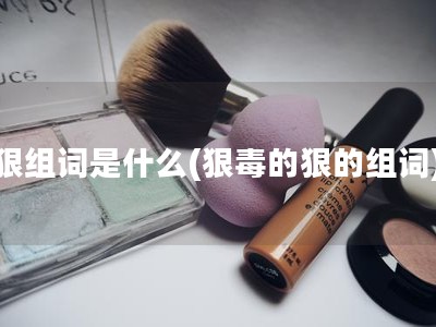 狠组词是什么(狠毒的狠的组词)