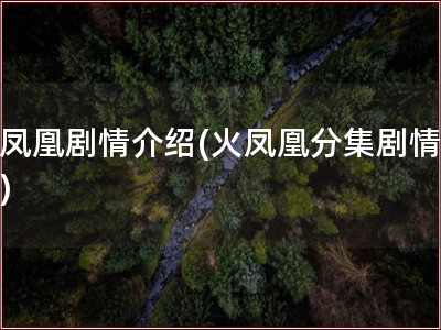 火凤凰剧情介绍(火凤凰分集剧情介绍)