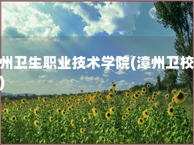 漳州卫生职业技术学院(漳州卫校中专)