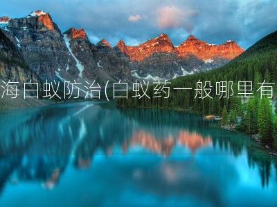 珠海白蚁防治(白蚁药一般哪里有卖)