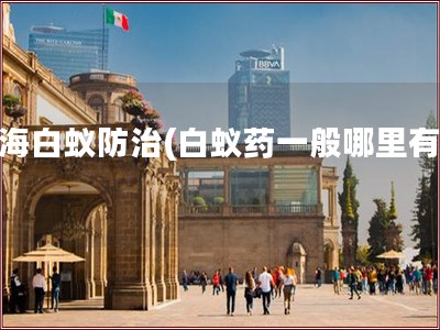 珠海白蚁防治(白蚁药一般哪里有卖)