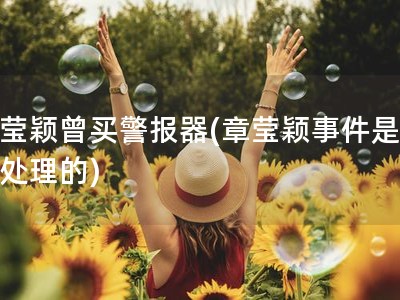 章莹颖曾买警报器(章莹颖事件是怎么处理的)