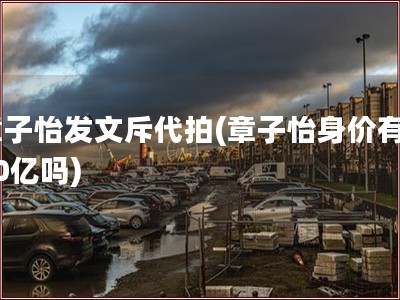 章子怡发文斥代拍(章子怡身价有100亿吗)