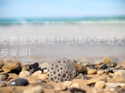 耐心的反义词是什么(耐心的近义词和反义词)