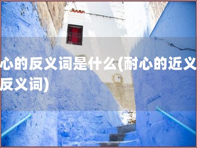 耐心的反义词是什么(耐心的近义词和反义词)