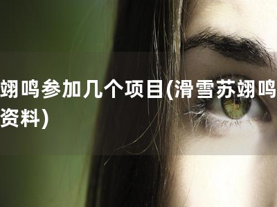 苏翊鸣参加几个项目(滑雪苏翊鸣个人资料)