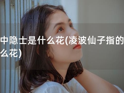 花中隐士是什么花(凌波仙子指的是什么花)