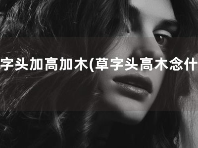 草字头加高加木(草字头高木念什么)