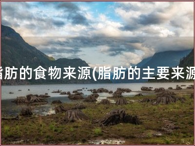 脂肪的食物来源(脂肪的主要来源)