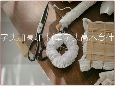 草字头加高加木(草字头高木念什么)