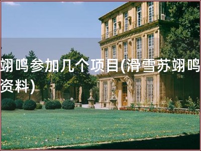 苏翊鸣参加几个项目(滑雪苏翊鸣个人资料)