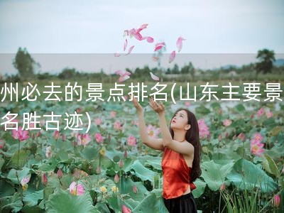 贵州必去的景点排名(山东主要景点及名胜古迹)