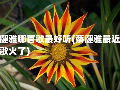 蔡健雅哪首歌最好听(蔡健雅最近一首歌火了)