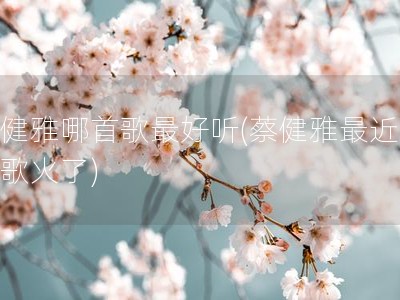 蔡健雅哪首歌最好听(蔡健雅最近一首歌火了)