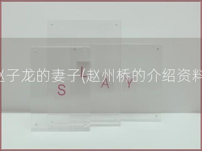 赵子龙的妻子(赵州桥的介绍资料)