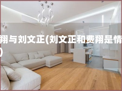 费翔与刘文正(刘文正和费翔是情侣吗)