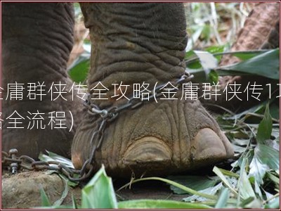 金庸群侠传全攻略(金庸群侠传1攻略全流程)