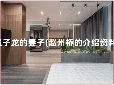 赵子龙的妻子(赵州桥的介绍资料)