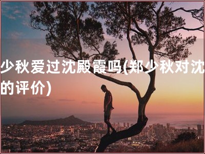 郑少秋爱过沈殿霞吗(郑少秋对沈殿霞的评价)
