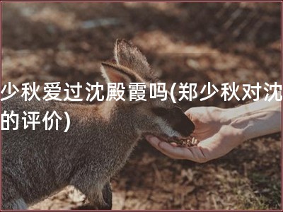 郑少秋爱过沈殿霞吗(郑少秋对沈殿霞的评价)