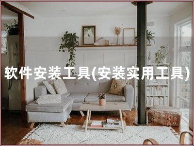 软件安装工具(安装实用工具)