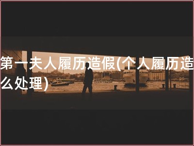 韩第一夫人履历造假(个人履历造假怎么处理)