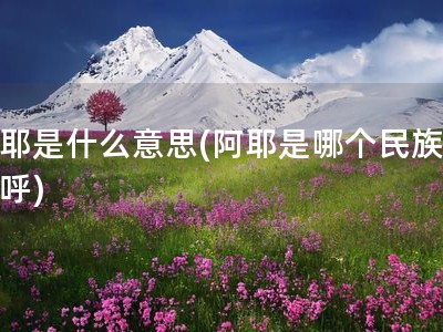 阿耶是什么意思(阿耶是哪个民族的称呼)