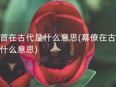 面首在古代是什么意思(幕僚在古代是什么意思)