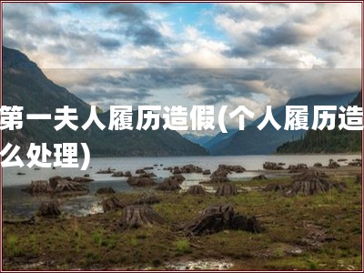 韩第一夫人履历造假(个人履历造假怎么处理)