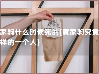 黄家驹什么时候死的(黄家驹究竟是怎样的一个人)